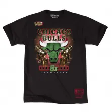 CAMISETA CHICAGO BULLS - MITCHELL & NESS GREEN CHAMPION