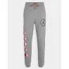 PANTALON JORDAN SPORT "DNA HBR" GRIS.