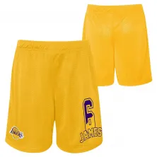 SHORT LOS ANGELES LAKERS BALL UP - LEBRON JAMES - OUTERSTUFF