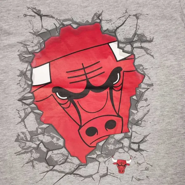 Camiseta manga corta NBA junior de los Chicago Bulls